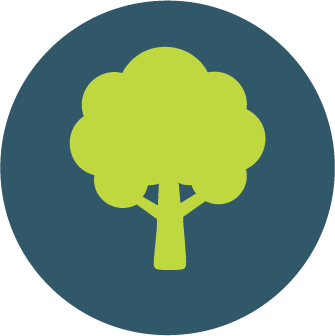 Tree icon